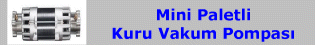 Mini Paletli Kuru Vakum Pompası