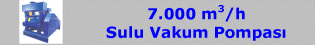 Sulu Vakum Pompası (7.000 m3/saat)