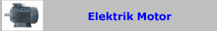 Elektrik Motor