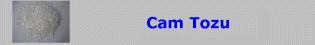 Cam Tozu